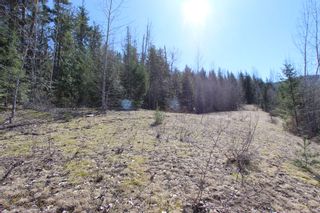 Photo 9: Lot 11 Ivy Road: Eagle Bay Vacant Land for sale (South Shuswap)  : MLS®# 10229941