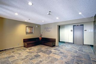 Photo 3: 401 723 57 Avenue SW in Calgary: Windsor Park Apartment for sale : MLS®# A1180051