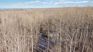 Photo 17: Lot 5 Highway 360 in Harbourville: Kings County Vacant Land for sale (Annapolis Valley)  : MLS®# 202300404