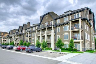 Photo 1: 204 20 Mahogany Mews SE in Calgary: Mahogany Apartment for sale : MLS®# A1234937