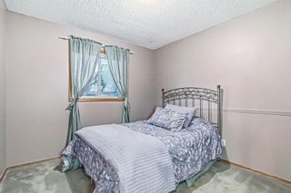 Photo 13: 9 Shawbrooke Close SW in Calgary: Shawnessy Detached for sale : MLS®# A2014630