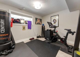 Photo 35: 4623 Norquay Drive NW in Calgary: North Haven Detached for sale : MLS®# A2124985