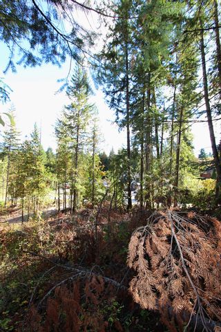Photo 15: Lot 43 Centennial Drive in Blind Bay: Land Only for sale : MLS®# 10241144