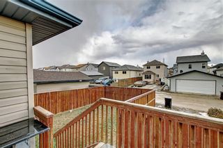Photo 43: 207 SADDLEMEAD Close NE in Calgary: Saddle Ridge Detached for sale : MLS®# C4236086