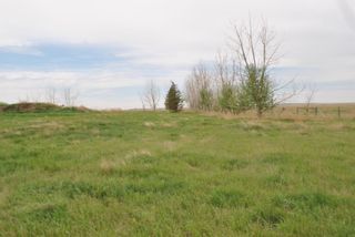 Photo 16: 221028 Township 252 Road: Rural Wheatland County Detached for sale : MLS®# A2051393