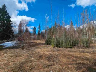 Photo 6: 9733 WALTER Road in Prince George: Haldi Land for sale (PG City South West)  : MLS®# R2871788