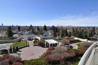 Photo 25: 310 1718 14 Avenue NW in Calgary: Hounsfield Heights/Briar Hill Apartment for sale : MLS®# A2123971