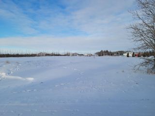 Photo 3: 142 57303 RGE RD 233: Rural Sturgeon County Rural Land/Vacant Lot for sale : MLS®# E4272311