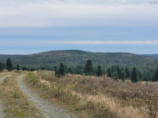 Photo 6: 3200 Clam Harbour Road in Clam Harbour: 35-Halifax County East Vacant Land for sale (Halifax-Dartmouth)  : MLS®# 202226870
