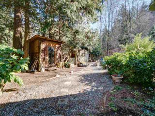Photo 19: 3172 MOSSY ROCK Road: Roberts Creek House for sale (Sunshine Coast)  : MLS®# R2346720