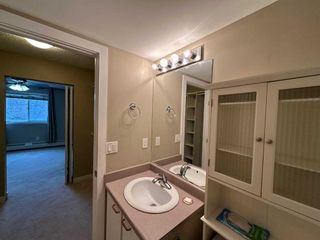Photo 10: 205 21 Dover Point SE in Calgary: Dover Apartment for sale : MLS®# A2129149