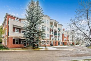 Photo 2: 211 78 Prestwick Gardens SE in Calgary: McKenzie Towne Apartment for sale : MLS®# A2128417