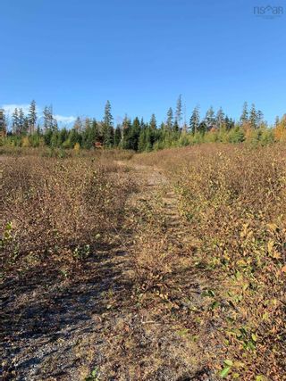 Photo 6: 41 Marine Gateway in Sheet Harbour: 35-Halifax County East Vacant Land for sale (Halifax-Dartmouth)  : MLS®# 202224438