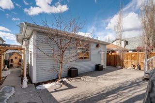 Photo 34: 15195 Prestwick Boulevard SE in Calgary: McKenzie Towne Detached for sale : MLS®# A1194269