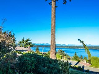 Photo 7: 451 S McLean St in CAMPBELL RIVER: CR Campbell River Central House for sale (Campbell River)  : MLS®# 771782