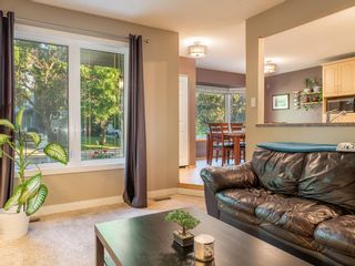 Photo 12: 43 Thornewood Avenue in Winnipeg: River Park South Residential for sale (2F)  : MLS®# 202216255