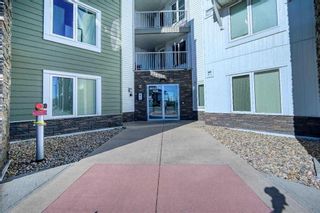 Photo 17: 1106 6118 80 Avenue NE in Calgary: Saddle Ridge Apartment for sale : MLS®# A2123612