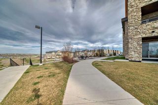 Photo 39: 303 20 Kincora Glen Park NW in Calgary: Kincora Apartment for sale : MLS®# A2131307