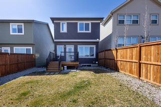 Photo 29: 163 Evanscrest Way NW in Calgary: Evanston Detached for sale : MLS®# A2045300