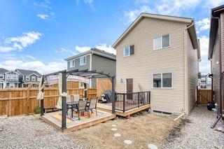 Photo 31: 13 Evanscrest Road NW in Calgary: Evanston Detached for sale : MLS®# A2039397