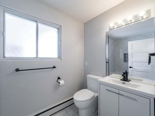 Photo 16: 9032 12 Street SW in Calgary: Haysboro Detached for sale : MLS®# A1217618