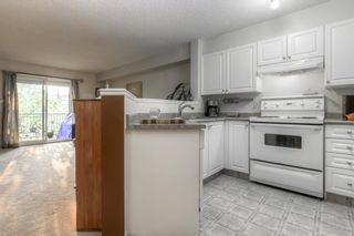 Photo 8: 1303 1000 Citadel Meadow Point NW in Calgary: Citadel Apartment for sale : MLS®# A2049458