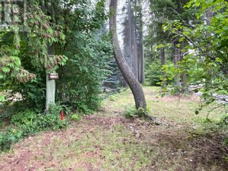 Photo 68: 3453 Cessna Road Unit# 88 in Enderby: Vacant Land for sale : MLS®# 10279195