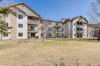 Photo 21: 3103 20 Harvest Rose Park NE in Calgary: Harvest Hills Apartment for sale : MLS®# A2045350