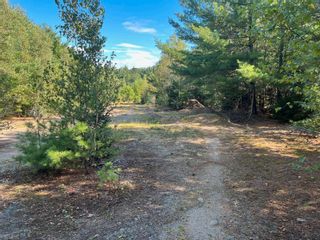 Photo 2: Lot Aberdeen Road in Bridgewater: 405-Lunenburg County Vacant Land for sale (South Shore)  : MLS®# 202318892