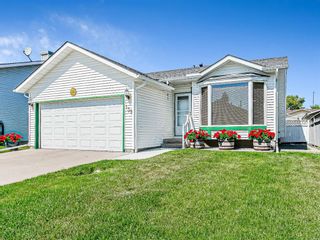 Photo 1: 139 Appletree Close SE in Calgary: Applewood Park Detached for sale : MLS®# A1022936