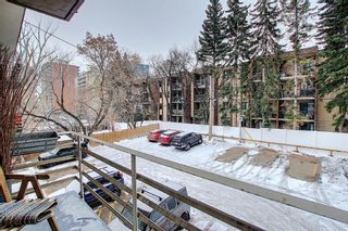 Photo 19: 303 215 25 Avenue SW in Calgary: Mission Apartment for sale : MLS®# A1063932