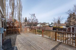 Photo 29: 24 Erin Croft Green SE in Calgary: Erin Woods Detached for sale : MLS®# A2123603