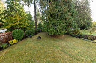 Photo 3: 2438 LAURALYNN Drive in North Vancouver: Westlynn House for sale in "WESTLYNN" : MLS®# R2736758