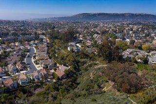 Photo 35: 33061 Sea Bright Drive in Dana Point: Residential for sale (DH - Dana Hills)  : MLS®# OC20037218