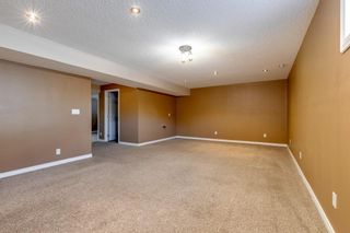 Photo 37: 204 Prestwick Mews SE in Calgary: McKenzie Towne Detached for sale : MLS®# A1216863
