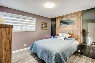 Photo 11: 503 Whitehorn Way NE in Calgary: Whitehorn Detached for sale : MLS®# A2008771