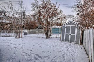 Photo 31: 703 36 Street NW in Calgary: Parkdale Detached for sale : MLS®# A2101688