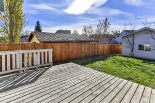 Photo 25: 47 TEMPLEGREEN Place NE in Calgary: Temple Detached for sale : MLS®# C4273952