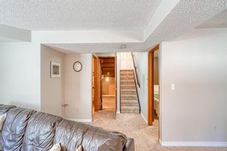 Photo 34: 320 Bermuda Drive NW in Calgary: Beddington Heights Detached for sale : MLS®# A1211726