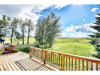 Photo 31: 434019 192 Street: Rural Foothills M.D. House for sale : MLS®# C4073369