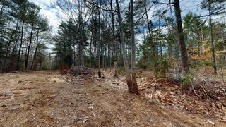 Main Photo: Lot Sarah Drive in Coldbrook: Kings County Vacant Land for sale (Annapolis Valley)  : MLS®# 202404741