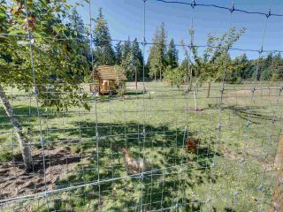 Photo 35: 981 CHAMBERLIN Road in Gibsons: Gibsons & Area House for sale (Sunshine Coast)  : MLS®# R2481276