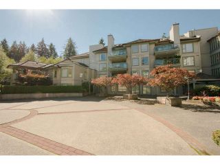 Photo 1: 313 3658 BANFF Court in North Vancouver: Northlands Condo for sale in "The Classics" : MLS®# V1062281