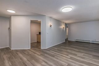 Photo 16: 417 1717 60 Street SE in Calgary: Red Carpet Apartment for sale : MLS®# A2053930