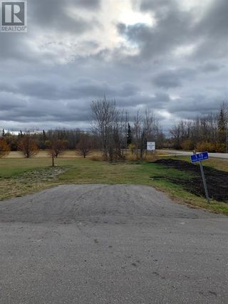 Photo 8: Lot 1 19 Peace River Avenue in Joussard: Vacant Land for sale : MLS®# A1042963