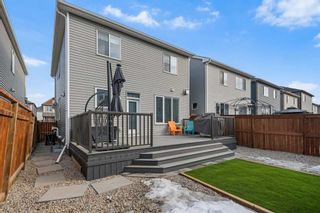 Photo 29: 141 Windrow Link SW: Airdrie Detached for sale : MLS®# A2116719