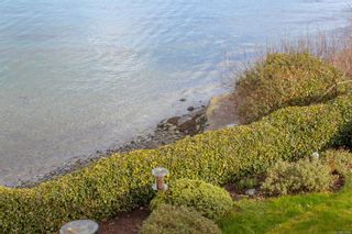 Photo 34: 8509 Lochside Dr in North Saanich: NS Bazan Bay House for sale : MLS®# 930748