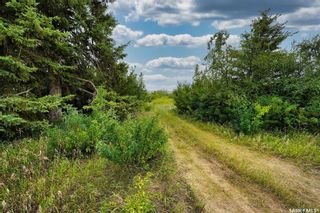Photo 6: NW-PT-06-53-21-W3 in Spruce Lake: Lot/Land for sale : MLS®# SK938750