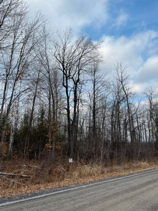 Photo 11: 2819 Cowell  Road: North Gower Vacant Land for sale (Ottawa)  : MLS®# 1369947