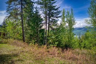 Photo 18: 5070 Ridge Road, in Eagle Bay: Vacant Land for sale : MLS®# 10268955